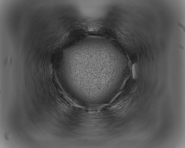 X0000097891443200803281235