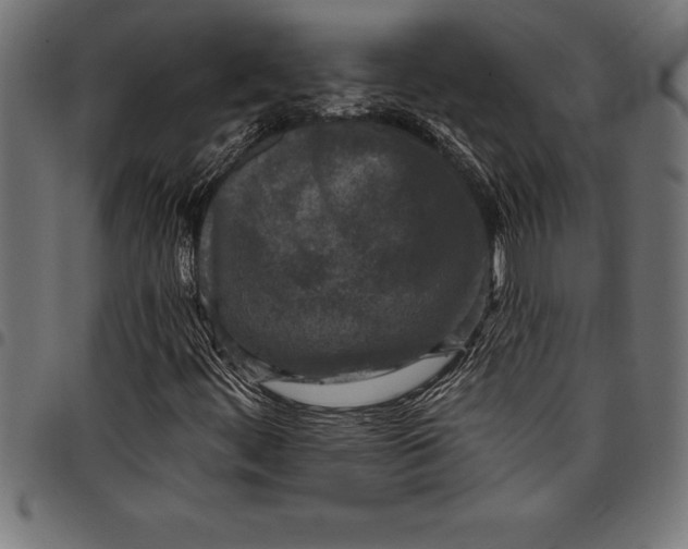 X0000097891444200803281235