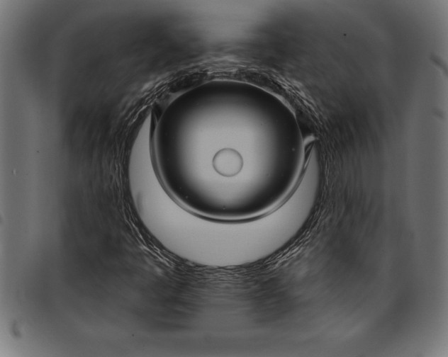 X0000097891445200803281235