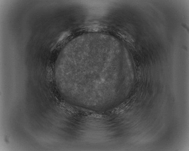 X0000097891446200803281235