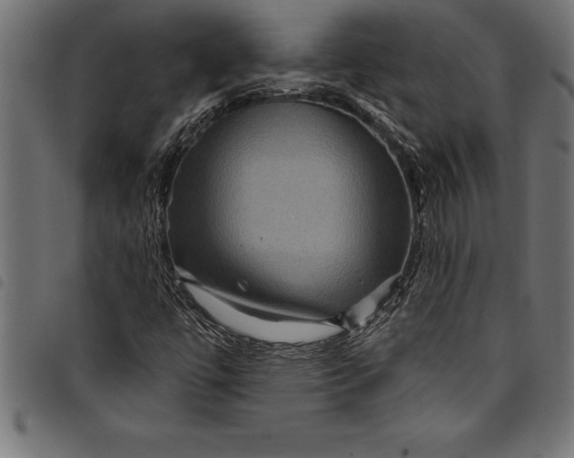 X0000097891447200803281235