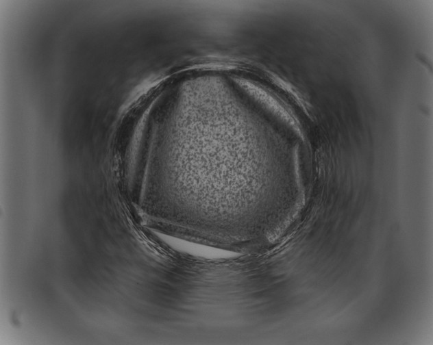 X0000097891448200803281235