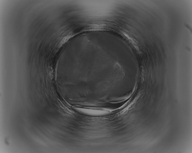 X0000097891449200803281235