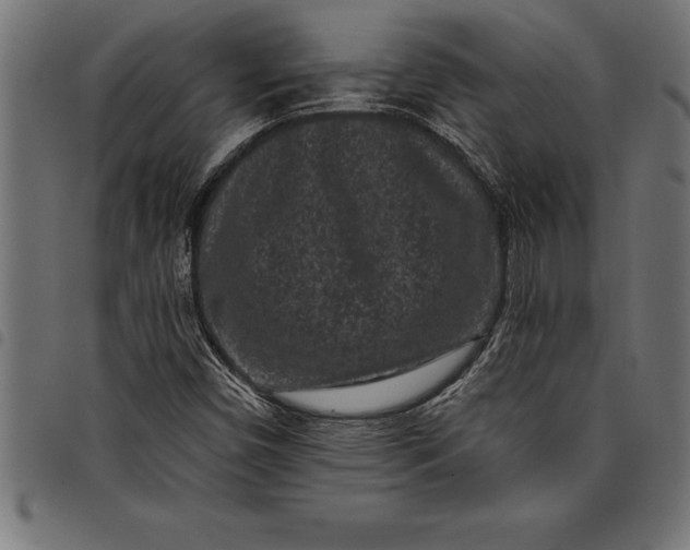 X0000097891450200803281235