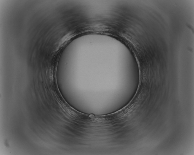 X0000097891451200803281235