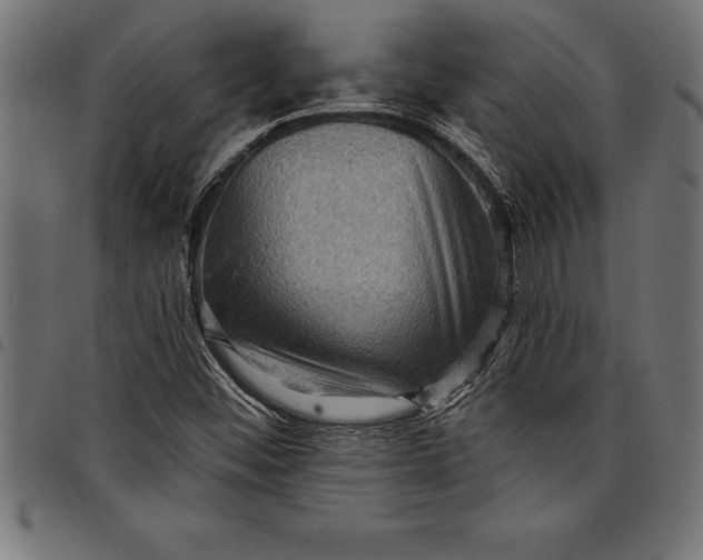 X0000097891452200803281235