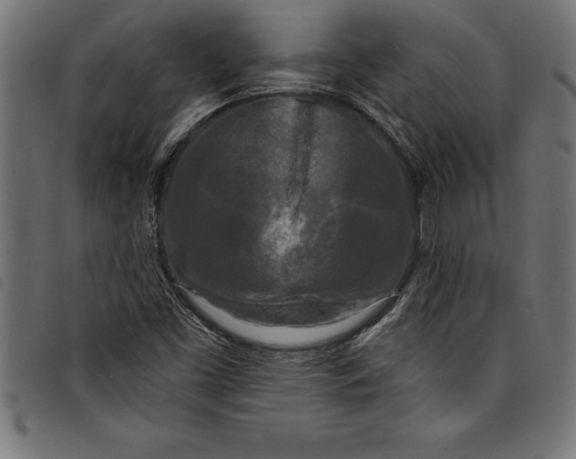 X0000097891453200803281235