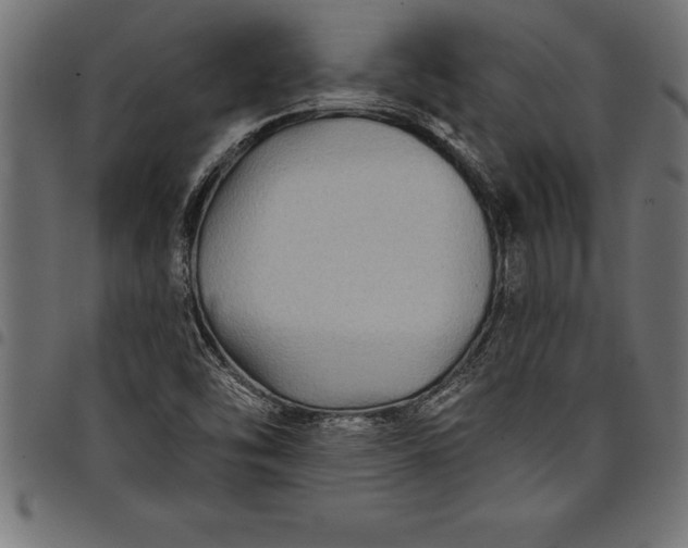 X0000097891454200803281235