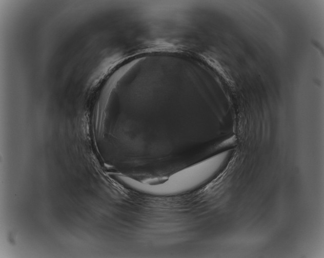 X0000097891455200803281235