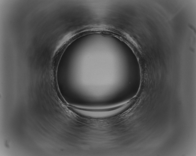 X0000097891456200803281235