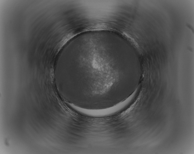 X0000097891457200803281235