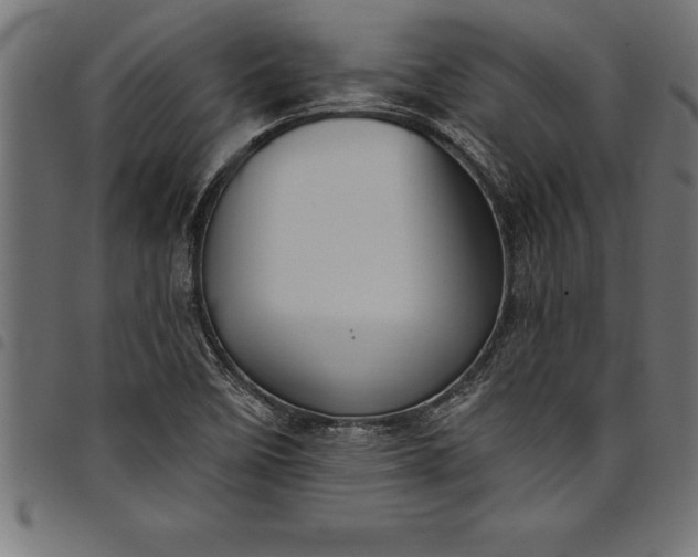 X0000097891458200803281235