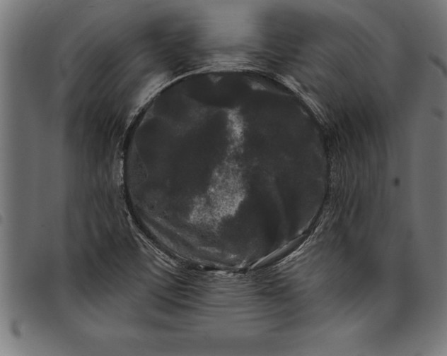 X0000097891459200803281235