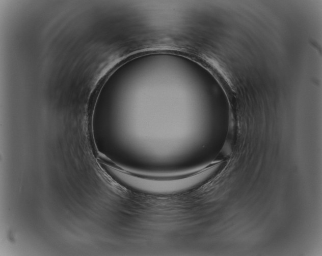 X0000097891460200803281235