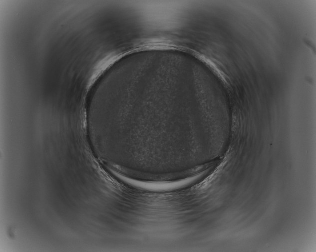 X0000097891461200803281235