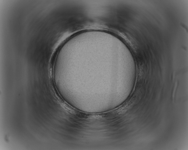 X0000097891462200803281235