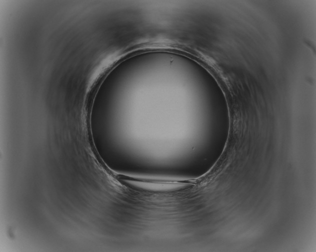 X0000097891464200803281235