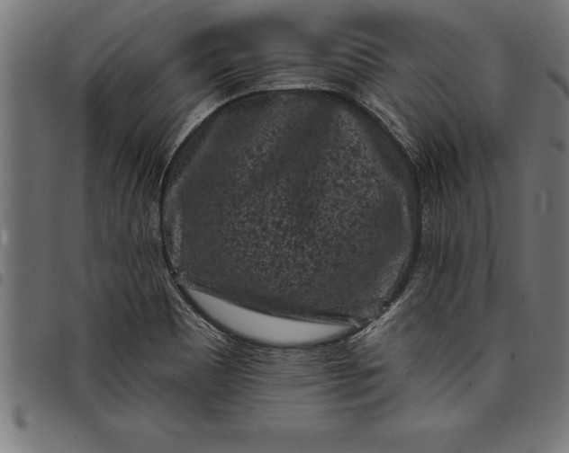 X0000097891465200803281235