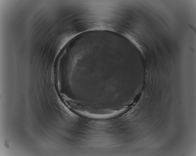 X0000097891468200803281235