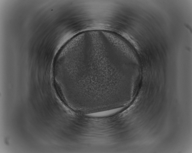 X0000097891469200803281235