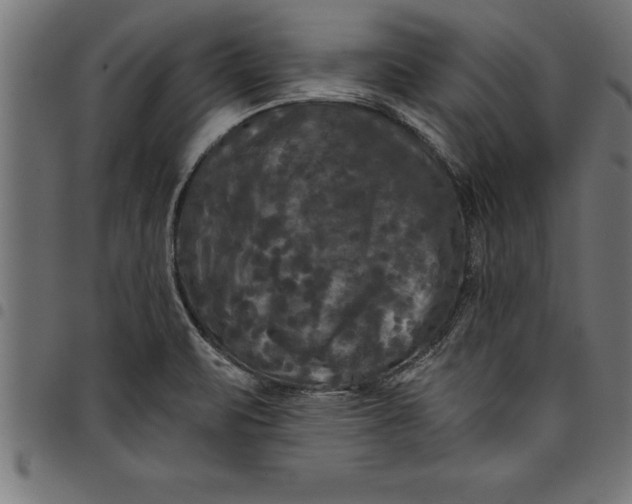 X0000097891471200803281235