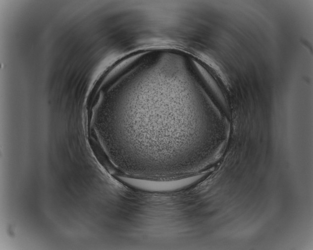 X0000097891472200803281235