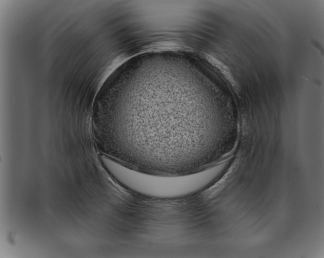 X0000097891473200803281235