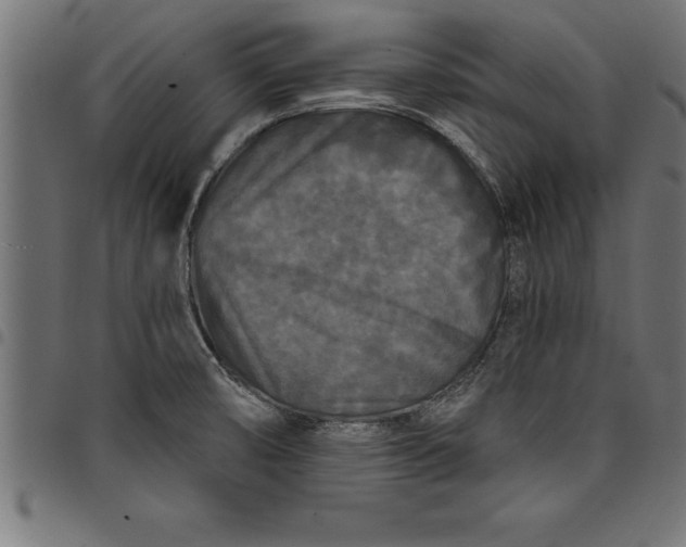 X0000097891474200803281235