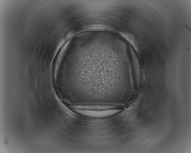 X0000097891475200803281235