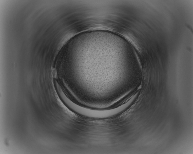 X0000097891476200803281235