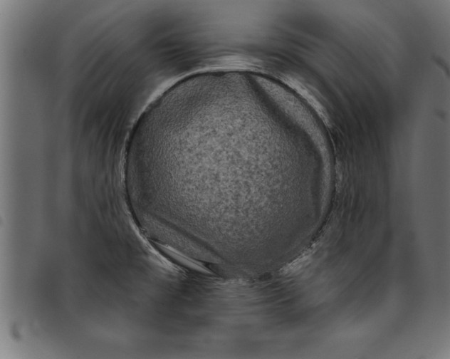 X0000097891477200803281235