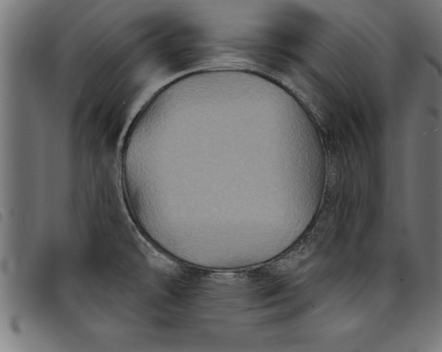 X0000097891478200803281235