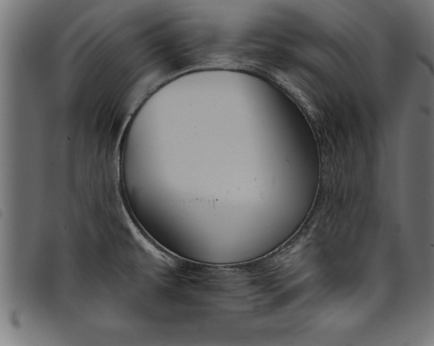 X0000097891479200803281235