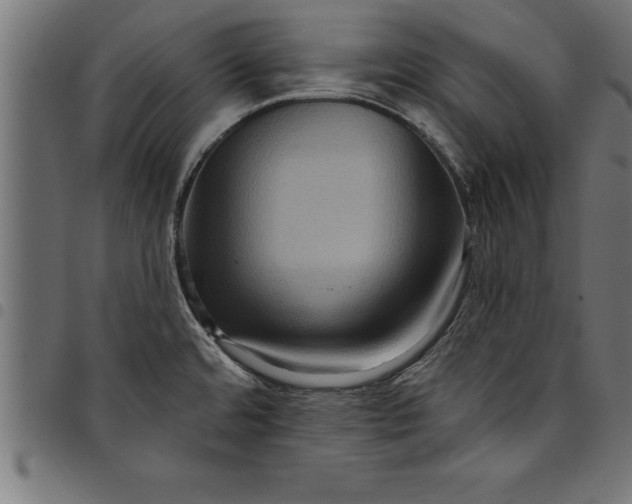 X0000097891480200803281235