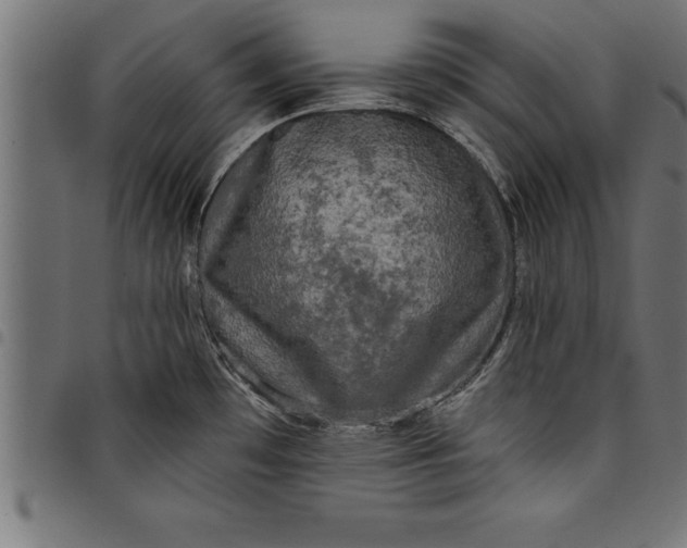 X0000097891481200803281235