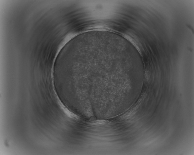 X0000097891482200803281235