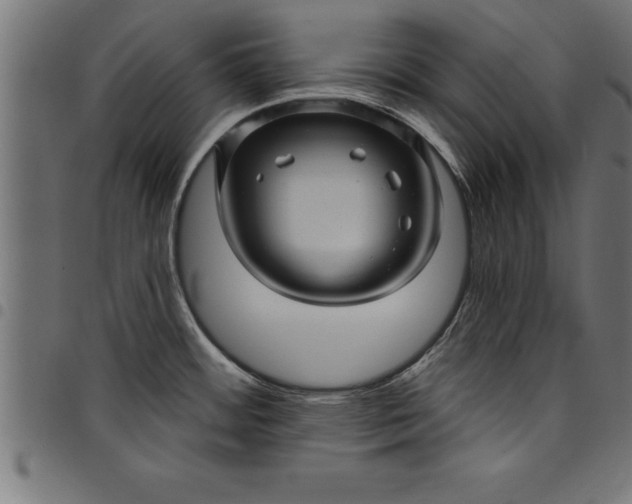 X0000097891484200803281235