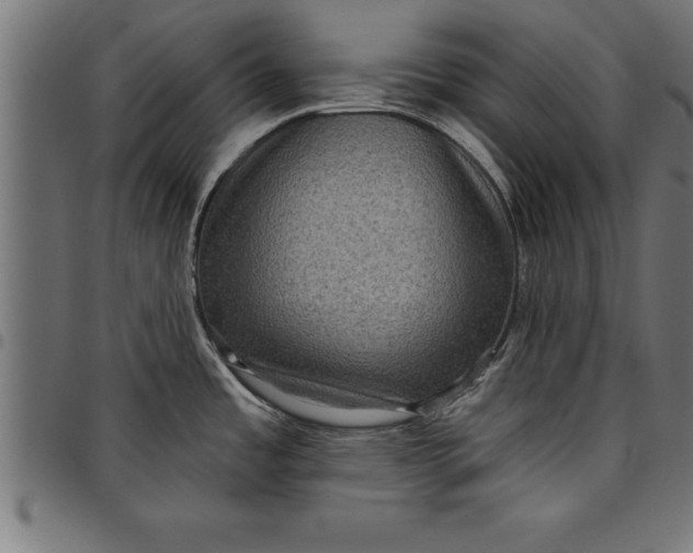 X0000097891485200803281235