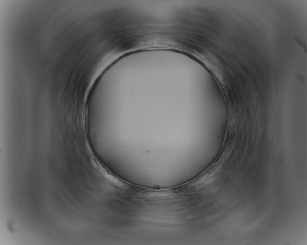 X0000097891486200803281235