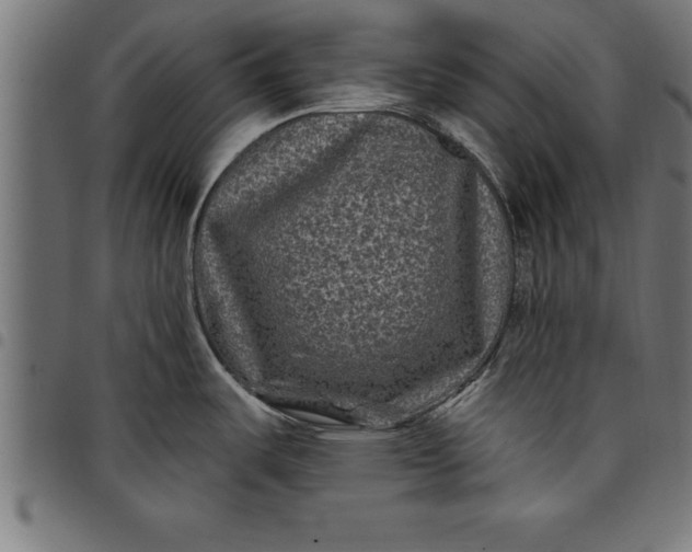 X0000097891487200803281235