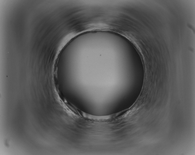 X0000097891488200803281235