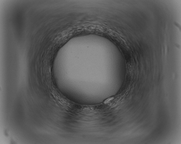 X0000097891489200803281234