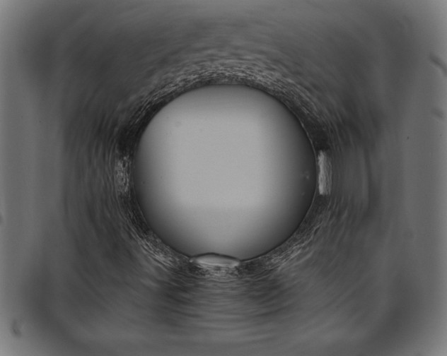 X0000097891491200803281234