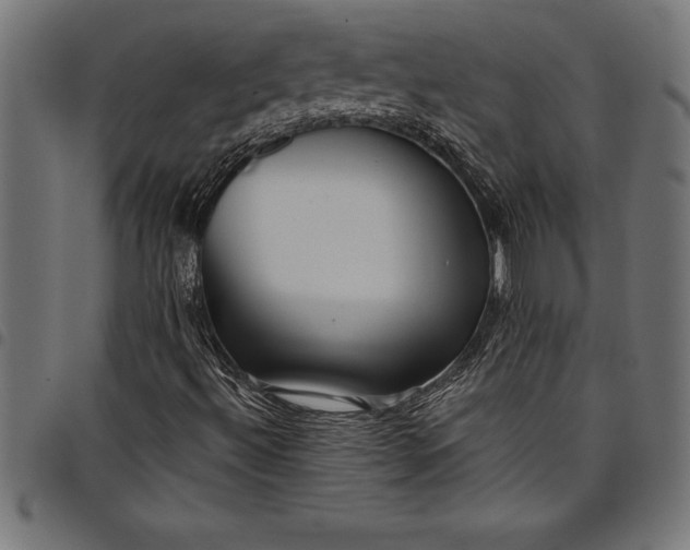 X0000097891492200803281234