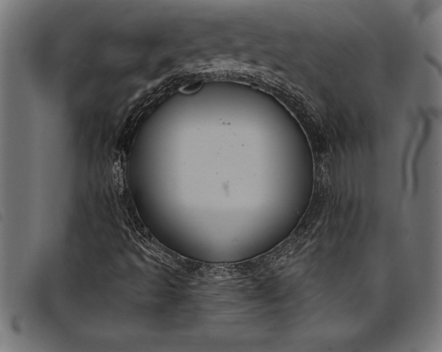 X0000097891493200803281234