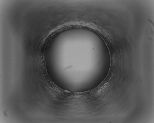 X0000097891494200803281234