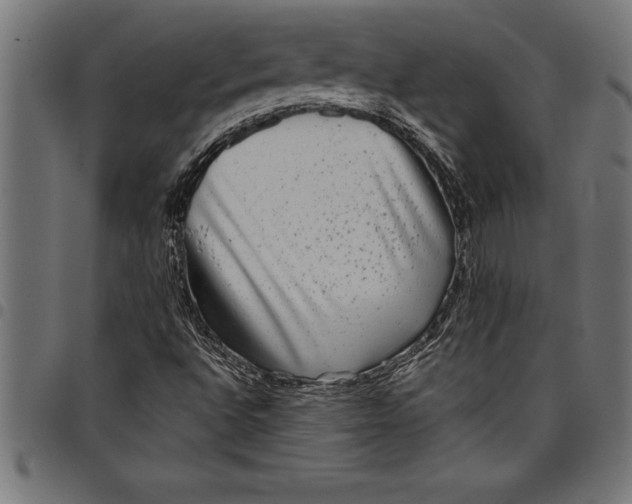 X0000097891496200803281234