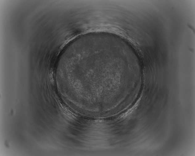 X0000097891497200803281234