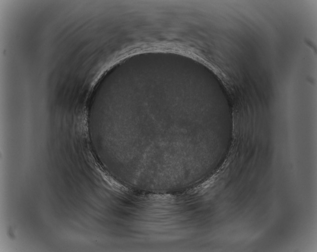 X0000097891498200803281234