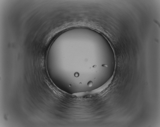 X0000097891499200803281234